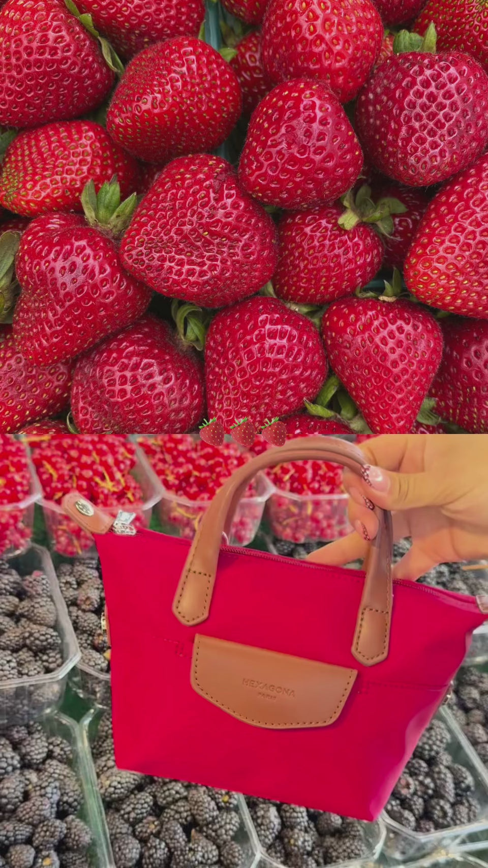web_video