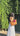 web_video